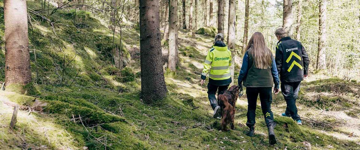 Som är leverantör till oss på Derome kan alltid få kostnadsfri rådgivning när det gäller din skog.