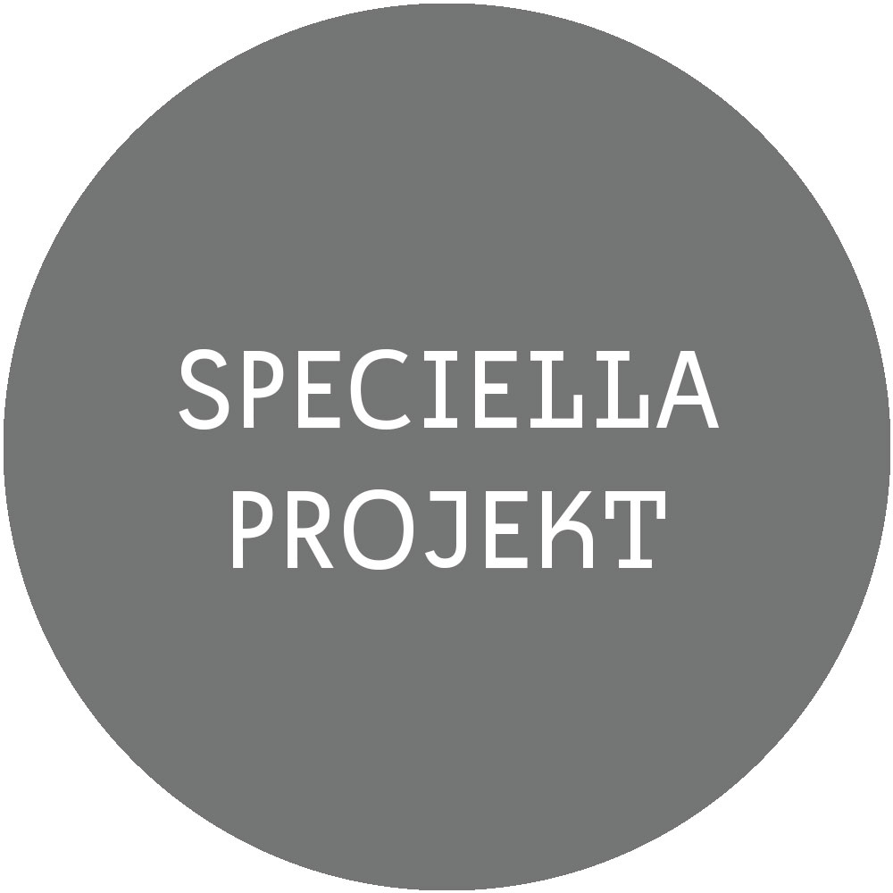 SPECIELLA-PROJEKT.jpg