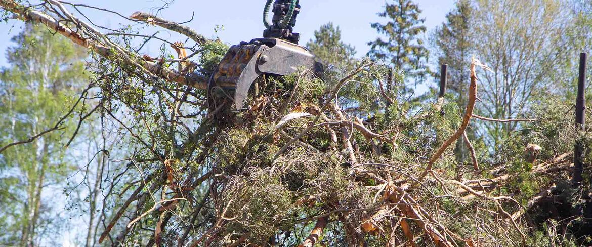 Biobränsle från skogen av grot och energived.