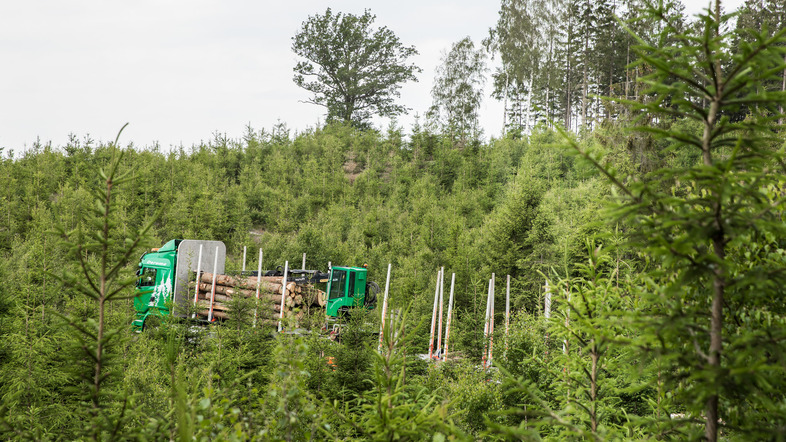 Tips för din skogsbilväg