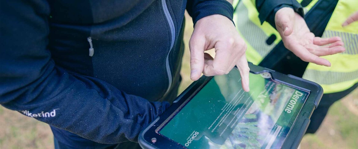 Två personer kollar på applikationen Skogskollen på en läsplatta. 
