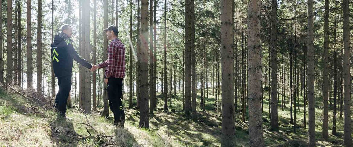Att sälja skog är en stor affär - vi hjälper dig att få ut maximalt av din skog.