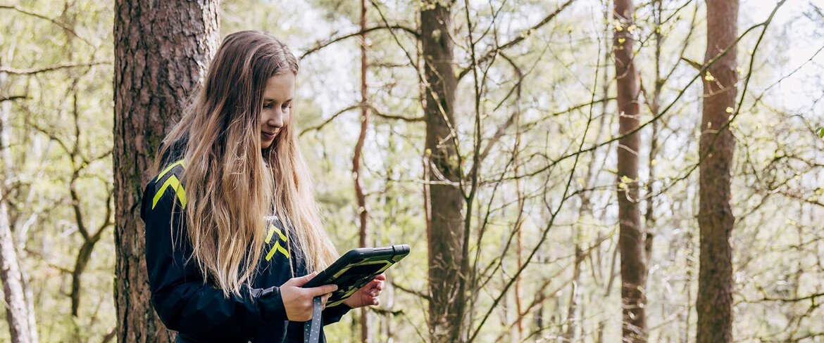 Skogsbruksplanen hjälper dig till en välmående skog som ger maximal avkastning.