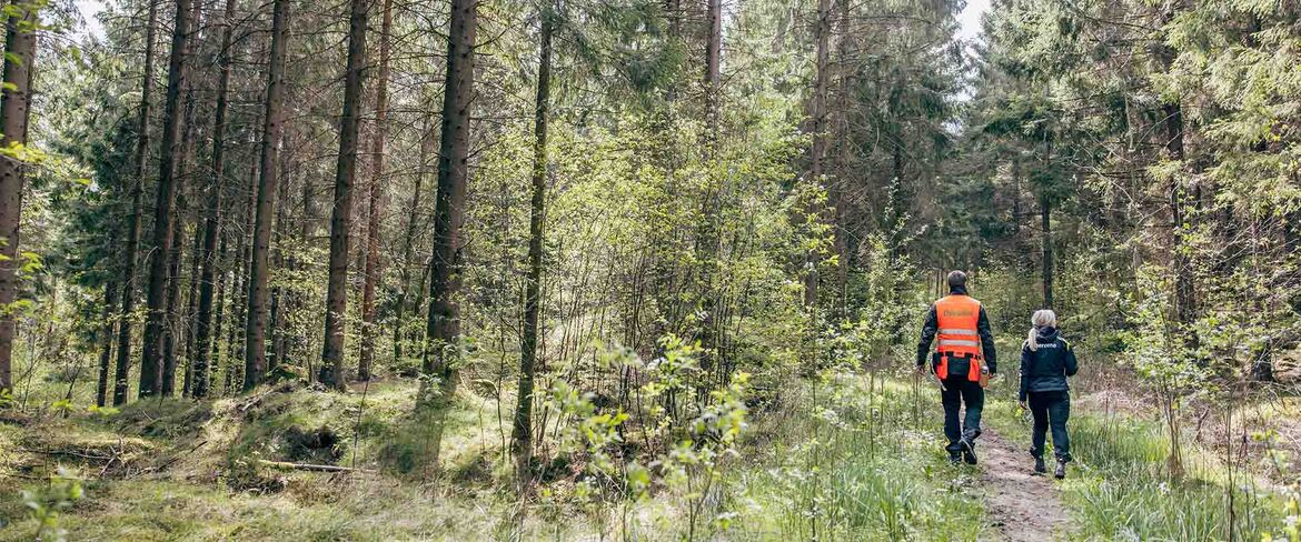 Skogen är en av våra viktigaste naturresurser. Den ger råvara till byggande, binder koldioxid och är hem för en rik biologisk mångfald. För att klara klimatomställningen måste vi använda skogen klokt och säkerställa tillgången till hållbart producerat virke.
